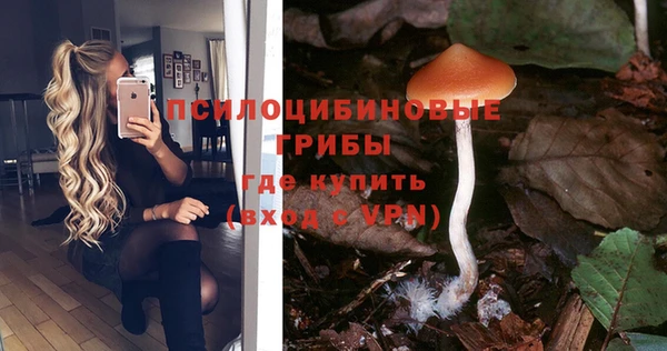 дмт Алексин